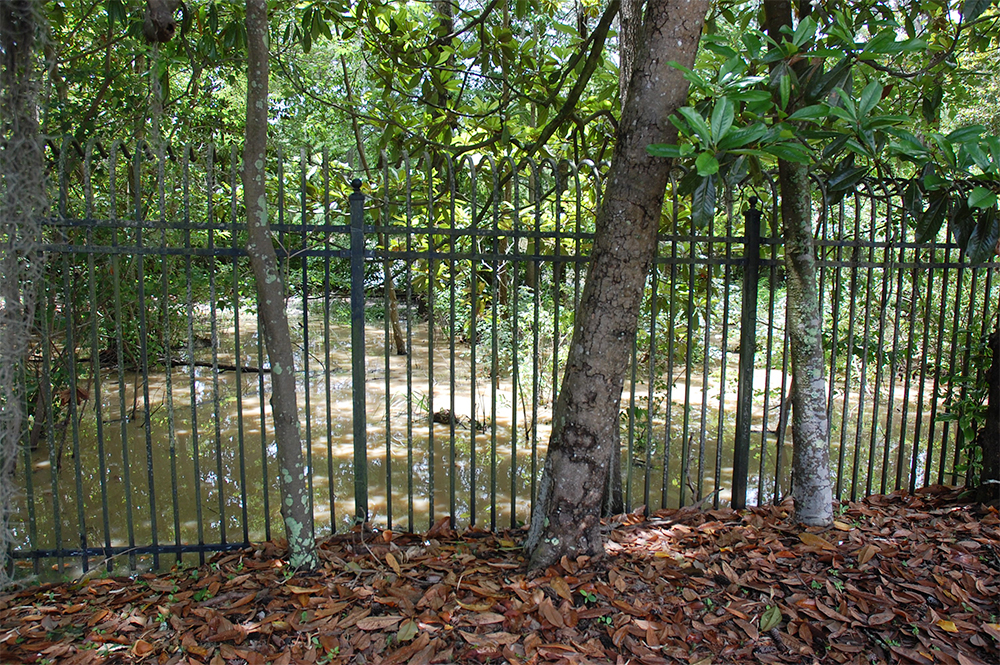 Turbid water pooled into Airlie Gardens from the State Street development across Airlie Road after a Memorial Day weekend rain event. (Port City Daily/Johanna Ferebee)