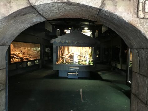 All of the reptiles in the Cape Fear Serpentarium have been removed; they were sold, apparently, to a Phoenix-based non-profit. (Port City Daily photo | Benjamin Schachtman)