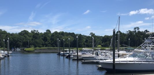 Current regulations have strict rules for developing docks and other marina related items located in conservation districts, but a new amendment could change that (Port City Daily/Michael Praats)