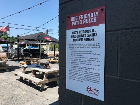 Mac's Speed Shop's outdoor patio and music venue is dog friendly, with just a few basic rules. (Port City Daily photo | Benjamin Schachtman)