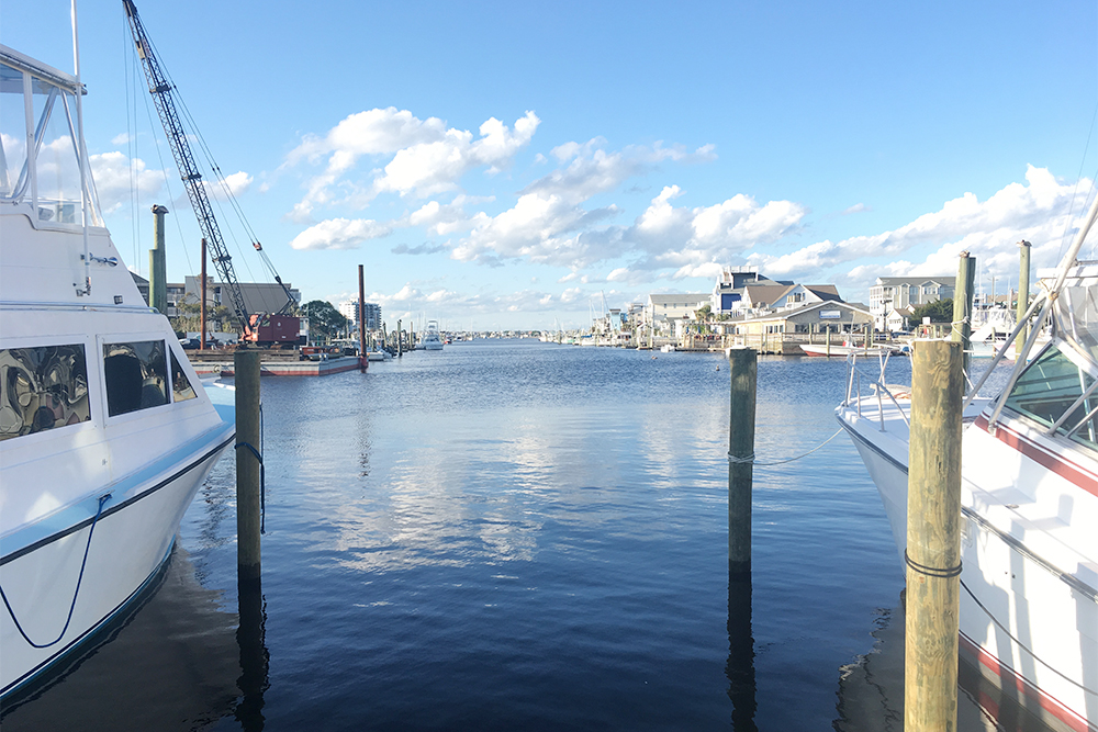 Soon a pedal pub on the water will be operating out of Carolina Beach (Port City Daily/Johanna Ferebee)