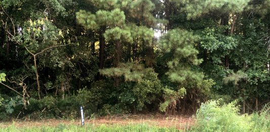 With vacant land becoming a rarity in Wilmington's city limits, 65 acres of vacant land is listed on Masonboro Loop Road for $9.9 million. (Port City Daily photo/Johanna Ferebee)