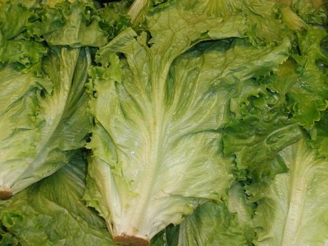 The USDA is warning of a parasite in some items containing lettuce. (Port City Daily photo | File)