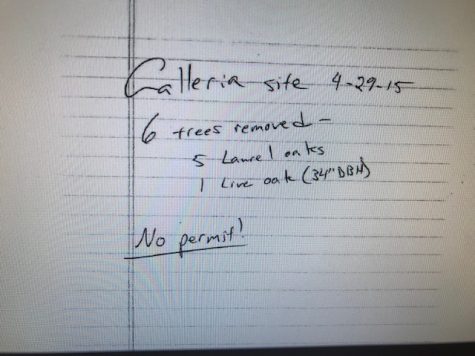 From the city's file on the Galleria oaks. (Port City Daily photo | City of Wilmington)