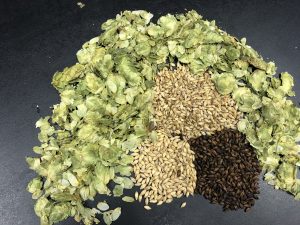 Homebrewers can get a variety of hops, yeast, and grains from Amazing Grains (Port City Daily/Michael Praats)