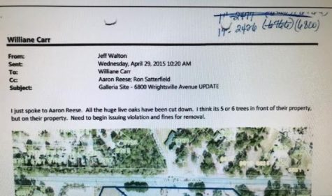 Email from Wilmington city planner Jeff Walton to Chief Code Enforcement Officer Williane Carr, as well as City Arborist Aaron Reese. (Port City Daily photo | City of Wilmington)
