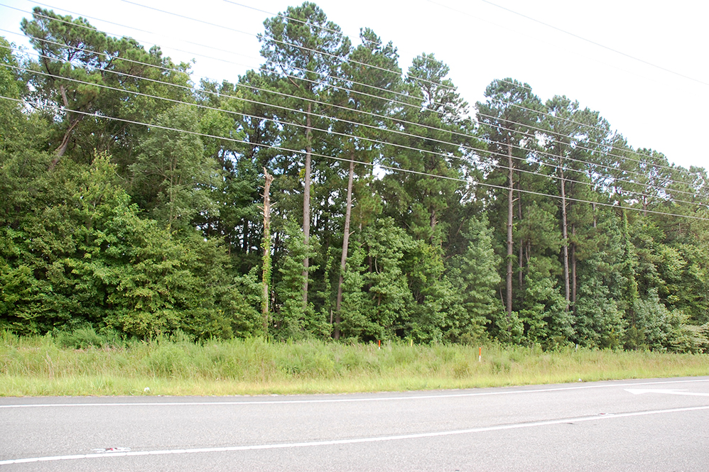 This 17.18-acre tract on Hazels Branch Road could be annexed by the town of Leland. (Port City Daily photo/Johanna Ferebee)