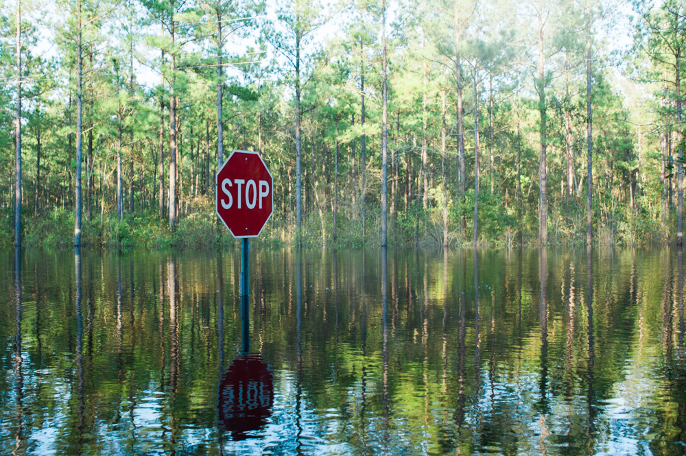 Flooding at the intersection of Borough Spur and Alexis Hales roads near the Black River in Currie, North Carolina, Wednesday, September 19, 2018. (Port City Daily photo | Mark Darrough)