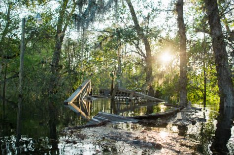 A flooded neighborhood on Alexis Hales Road near the Black River in Currie, North Carolina, Wednesday, September 19, 2018. (Port City Daily photo | Mark Darrough)