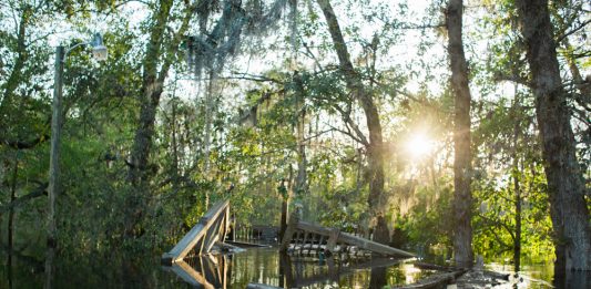 A flooded neighborhood on Alexis Hales Road near the Black River in Currie, North Carolina, Wednesday, September 19, 2018. (Port City Daily photo | Mark Darrough)