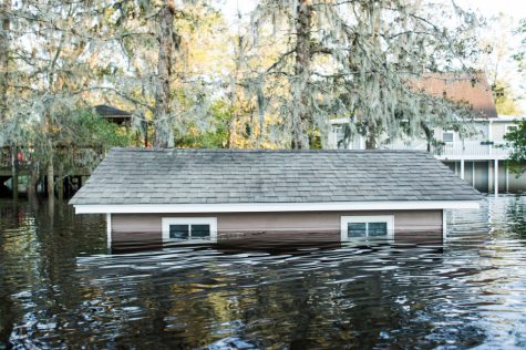 A flooded neighborhood on Alexis Hales Road near the Black River in Currie, North Carolina, Wednesday, September 19, 2018. (Port City Daily photo | Mark Darrough)