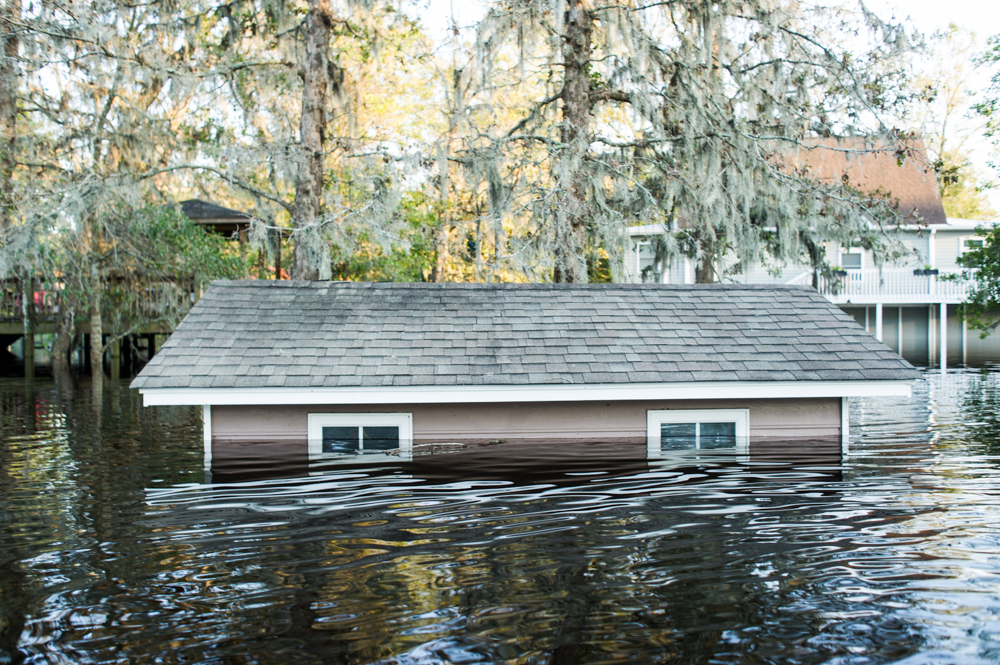 A flooded neighborhood on Alexis Hales Road near the Black River in Currie, North Carolina, Wednesday, September 19, 2018. (Port City Daily photo | Mark Darrough)