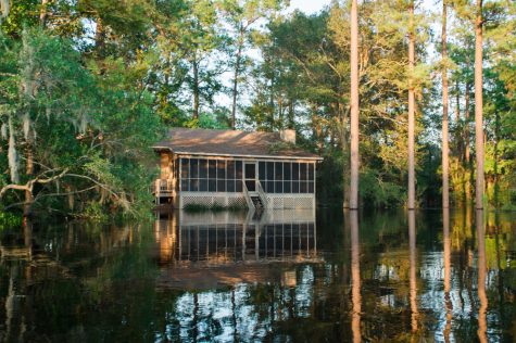 A house along Moores Creek, which flows into the Black River, in Currie, North Carolina, Wednesday, September 19, 2018. (Port City Daily photo | Mark Darrough)