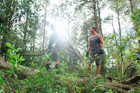 Port City Proud volunteers stand on a large fallen tree on Monday, September 24, 2018. (Port City Daily photo | Mark Darrough)