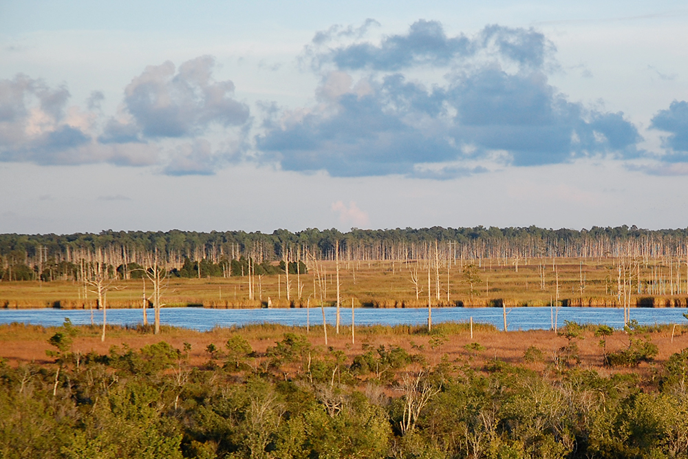 Area water utilities are pursuing different treatment options to filter out perflourinated compounds from the Cape Fear River, the region's primary raw water source. (Port City Daily/Johanna Ferebee)