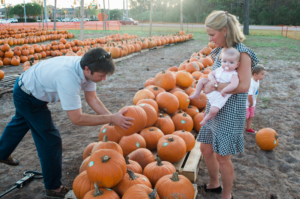 The Finch family loads up a wagon of pumpkins at the Barr Pumpkin Patch off Shipyard and Independence in Wilmington. (Port City Daily photo/Mark Darrough)