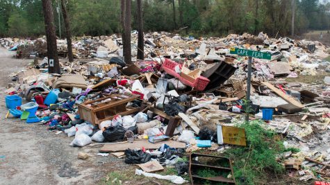 One of the piles of house debris on U.S. 53 just northeast of Burgaw near the Northeast Cape Fear River. (Port City Daily photo/Mark Darrough)
