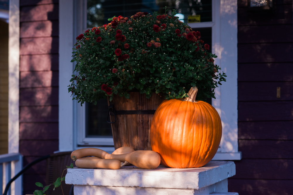 The fall colors of Halloween gave way to spooky, narrow streets as a near-full moon rose above Carolina Place Tuesday night. (Port City Daily photo / Mark Darrough)
