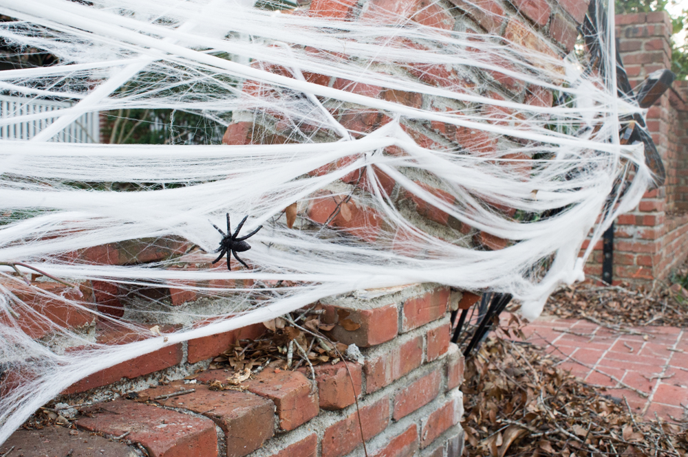 The fall colors of Halloween gave way to spooky, narrow streets as a near-full moon rose above Carolina Place Tuesday night. (Port City Daily photo / Mark Darrough)