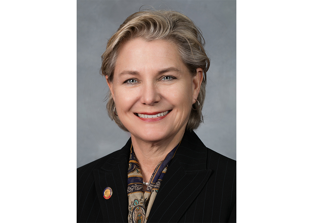 Representative Deb Butler is seeking to serve a second elected term in House District 18. (Port City Daily photo/Courtesy Representative Deb Butler)