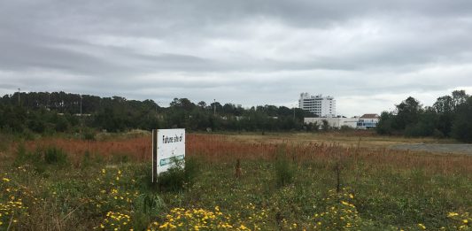 Jubilee Carolina owns the property on Lake Park Boulevard where it has been promising a Harris Teeter --- but never constructing one (Port City Daily/Johanna Ferebee)