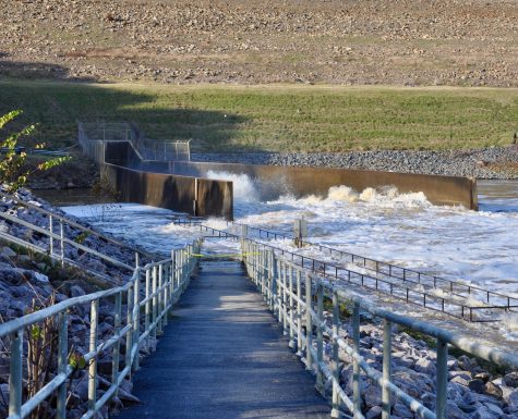 The U.S.Army Corps of Engineers dramatically increased the outflow from Jordan Lake into the Cape Fear River this week, causing concern for residents in flood prone areas (Port City Daily photo / Benjamin Schachtman)