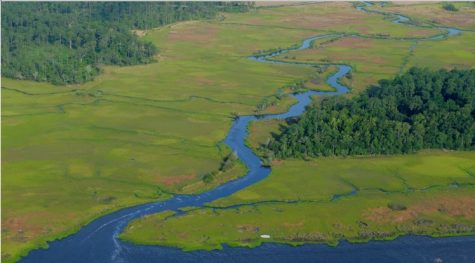 CFPUA has taken issue with the proposed settlement between NCDEQ and Chemours. (Port City Daily photo / CFPUA)