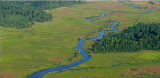 CFPUA has detected the highest concentration of PFAS in the Cape Fear River since last year (Port City Daily photo / CFPUA)