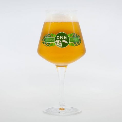 Salty Turtle will celebrate their 1-year anniversary on Dec. 29. (Port City Daily photo/Courtesy Salty Turtle Beer Co.) 