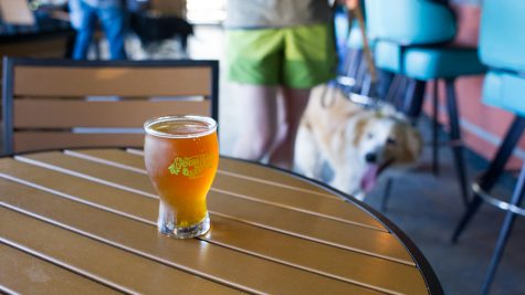 A pint of Hanky Panky Pale Ale at Good Hops Brewing in Carolina Beach on Saturday afternoon. (Port City Daily photo/Mark Darrough)