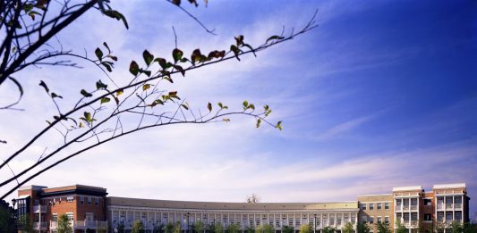 Telesis, the developer of the Jervay Communities, owns many of the units in the housing project, making it technically the majority "vote-holder" in the HOA. But what about private homeowners? (Port City Daily photo / Courtesy Telesis)