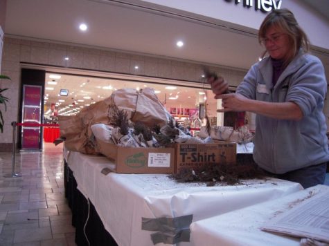 A past TreeFest volunteer at prepares a tree seedling for pick-up. (Port City Daily photo/Courtesy New Hanover County Parks and Gardens)