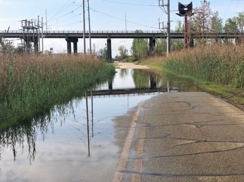 Sunny day flooding on Eagle Island in October of 2018. The area floods in excess of 70 times annually, but is still zoned for development. (Port City Daily photo / Courtesy Robert Parr)
