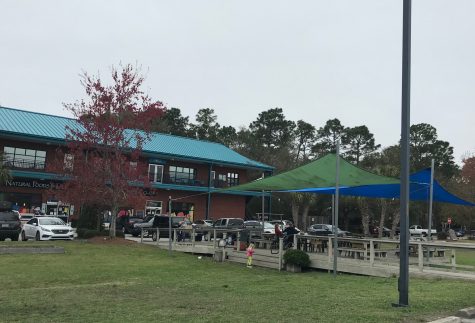 The pavilion at Tidal Creek has long been an important part of the co-op, and is also the location of the weekly farmers market. (Port City Daily photo / Benjamin Schachtman)