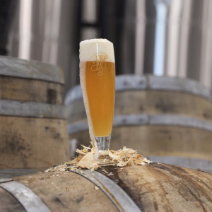 It's Kölsch Week at Flying Machine. Pictured is the Vimana Kölsch. (Port City Daily photo/Courtesy Flying Machine Brewing Co.)