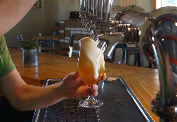 Beer Picture of the Week: A beer at the tap at Flytrap Brewing. (Port City Daily photo/Courtesy Flytrap Brewing)
