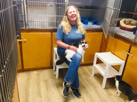 Shelter manager Jamie Kilgore gives Buddy a "purrfect" massage. (Port City Daily photo / Samira Davis)