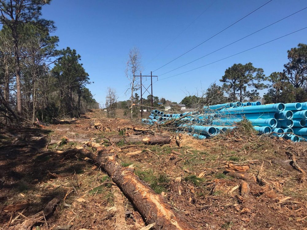CFPUA has cleared a large area of land despite not having permits to cut the trees (Port City Daily/Ben Schactaman)
