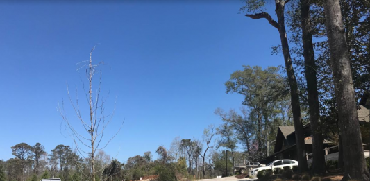 A dispute over between State Street Companies and a neighboring subdivision has dragged on for two years, growing more heated. (Port City Daily photo / Benjamin Schachtman)