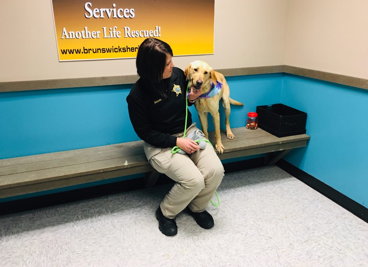 Seen here with animal adoption outreach coordinator Belinda Musgrove, Sheila is almost always smiling, She's available to meet prospective adopters at Brunswick County Sheriff’s Office Animal Protective Services. (Port City Daily photo / Samira Davis)