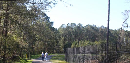 The Island Greenway is finally open, but some residents who live along it are not happy that it does not close at night (Port City Daily/Michael Praats)