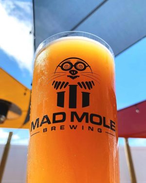 Mad Mole's Hop Labour double New England IPA. (Port City Daily photo/Courtesy Mad Mole Brewing)