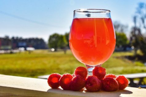 Makai Brewing's newest sour, the Raspberry Temptress. (Port City Daily photo/Courtesy Makai Brewing Co.)