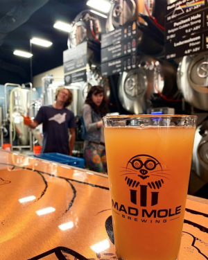 Mad Mole's new release, the Pop Gose the Mole. (Port City Daily photo/Courtesy Mad Mole Brewing)