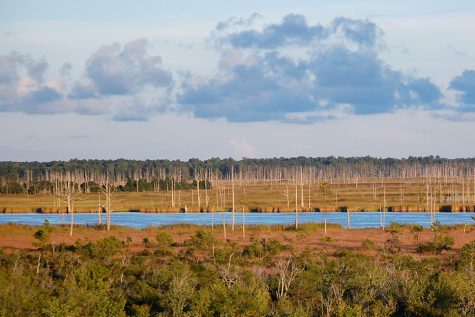 The Northeast Wastewater Treatment Plant, which discharges treated wastewater into the Cape Fear River visible from the I-140 Bypass, is consistently operating critically near its state-permitted capacity. (Port City Daily photo/Johanna Ferebee)