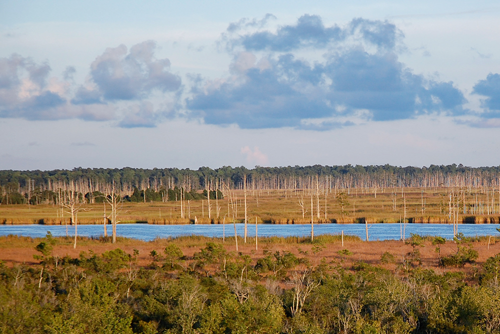 The Northeast Wastewater Treatment Plant, which discharges treated wastewater into the Cape Fear River visible from the I-140 Bypass, is consistently operating critically near its state-permitted capacity. (Port City Daily photo/Johanna Ferebee)