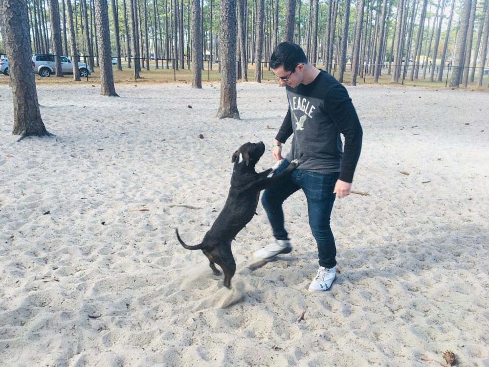 Bella and her foster father, Dustin Edwards, enjoying their time together at MacRae dog park. (Port City Daily photo / Samira Davis)