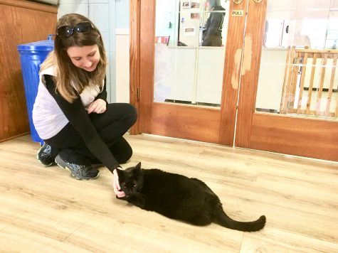 Shelter visitor Tonya Caudle takes a moment to play with Marley. (Port City Daily photo / Samira Davis)