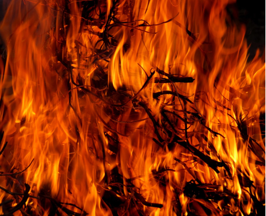 Around 10 acres of game land is on fire in Pender County. (Port City Daily photo / Files)