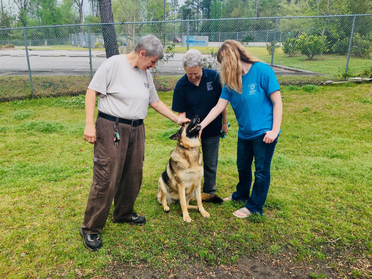 Luna enjoys receiving attention from NHHS volunteers (from left) Leslie Jonston, Judy Cradler, and Alexis Ferrell. (Port City Daily photo / Samira Davis)